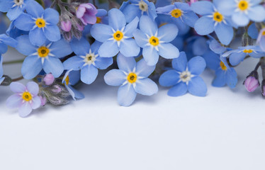 Colorful arrangement of fresh blue wild flowers 