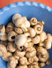 Fototapeta na wymiar Clean fresh mushrooms in a blue cup
