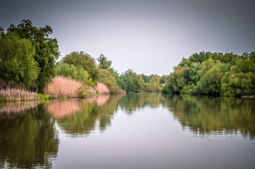 Obraz premium Canal with trees and vegetation reflected in the water. Specific landscape of this area.