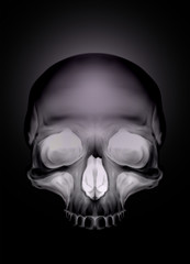 Black graphic human skull with white eyes X-ray style illustration