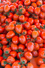 Tomatoes