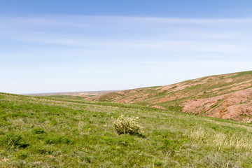 Fototapeta premium Steppe in Kazakhstan