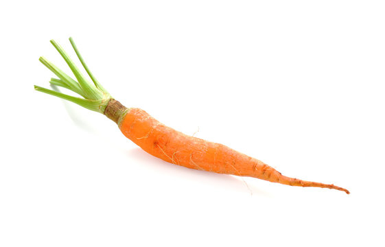 baby carrots on white background