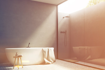 Gray bathroom with a tub, corner, toned