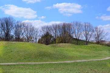 Green field and bright blue sky in early spring time