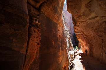 A men is hiking in Zion National Par, Utah, USA