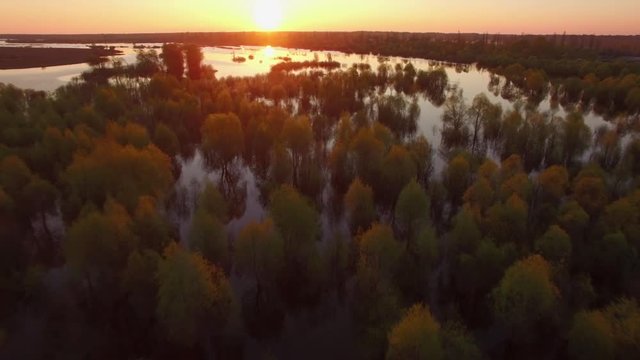 Sunset or sunrise over river swamp or lake aerial 4k. Fly over floodplain with trees and bushes in water at spring season with sun shining orange yellow and red, Pripiat national park, Belarus, Europe