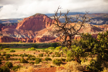 Spectacular landscapes of Capitol reef National park in Utah, USA