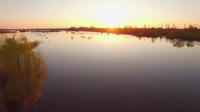 Seasonal view of floodplain at sunset or sunrise 4k aerial with trees and bushes in water. Horizontal drone copter flight over swampy spring land low above the water in Belarus, East Europe