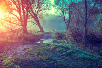 Misty autumn landscape at sunrise