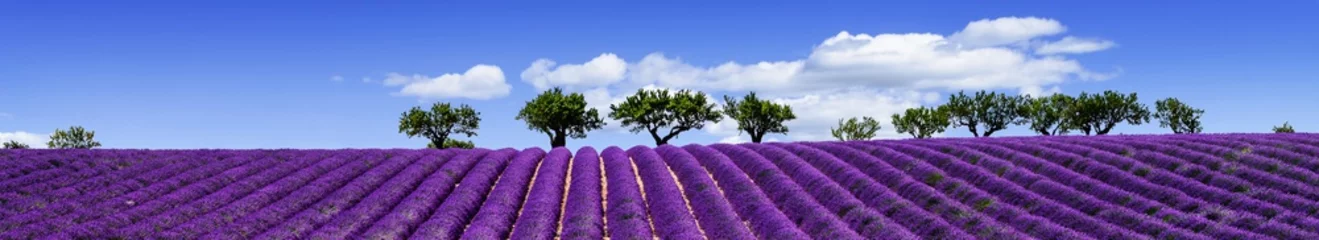 Keuken foto achterwand Lavendel LAVENDEL IN ZUID-FRANKRIJK