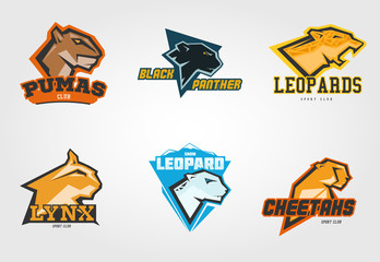 Set mockup template wild cats head symbol, logo, emblem or sticker for branding, printing, sports team. Vector illustration on white background. © cgterminal
