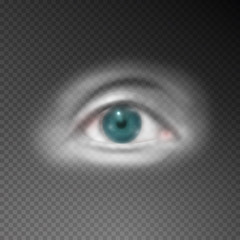 Obraz premium Realistic human eye on transparent background. Vector illustration.