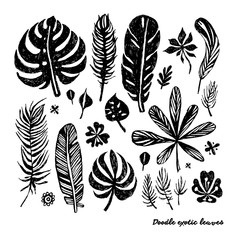 Set of black trendy doodle exotic leaves on a white background. Vector botanical illustration, elements for design.