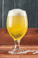 Mug of beer
