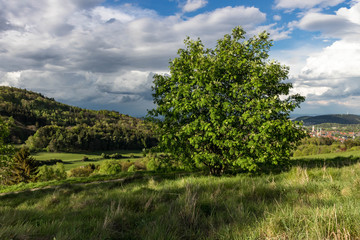 Obraz premium Gewitterwolken