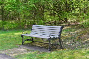 Fototapeta na wymiar The empty park bench on a close view.