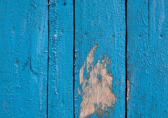 Natural blue barn wood wall.