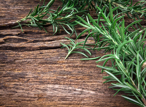 Fresh green Rosemary bound on a wooden board