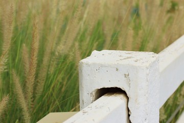 White fence on the farm