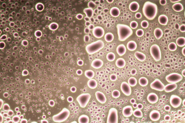 Backgrounds and texture of Bokeh by light from microscopic.	