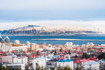 Beautiful view of  Reykjavik winter in Iceland winter season with snow-capped mountain in the background, Reykjavík is the capital city of Iceland.with snow-capped mountain in the background. - obrazy, fototapety, plakaty