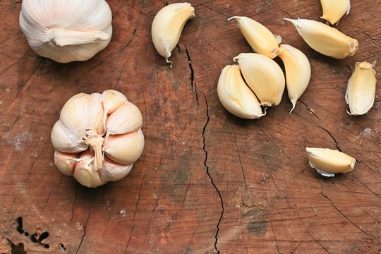 garlic