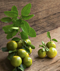 Orange or Citrus Japonica Thunb  on wood table.