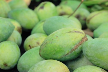 Raw mango at the market