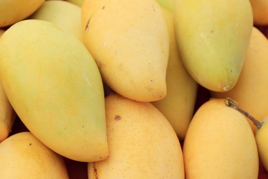 ripe mango at the market