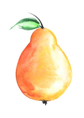 Watercolor fruit pear on white isolated background.