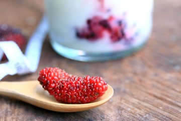 Mulberry fruit and yogurt