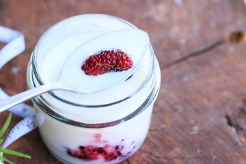 Mulberry fruit and yogurt