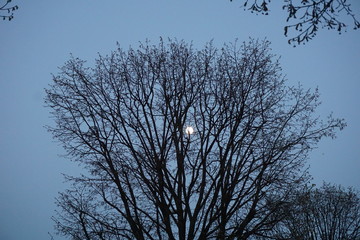 Mond / Moon