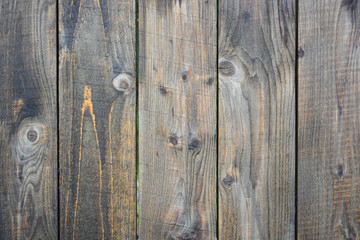 the texture of the wood