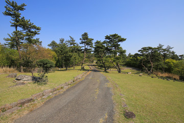 Fototapeta na wymiar 香川県小豆島町　美しの原高原の風景