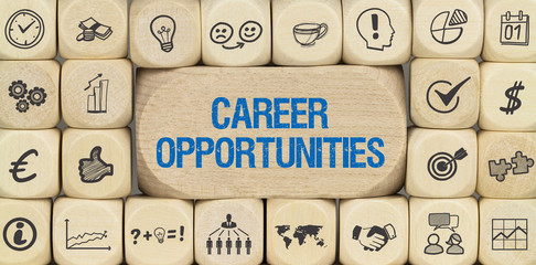 Career Opportunities / Würfel mit Symbole