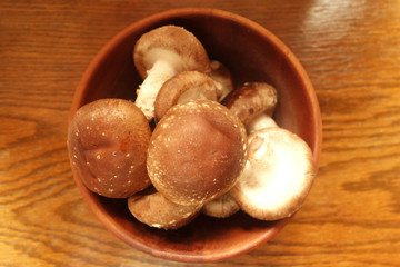 椎茸