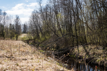 scenic spring colored river in country