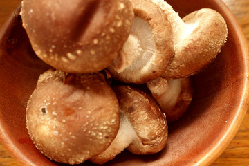 椎茸