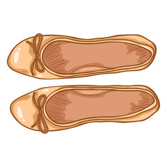 Vector Cartoon Illustration - Pair of Women Ballet Flats. Top View