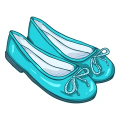 Foto op Plexiglas Vector Cartoon Illustration - Pair of Women Ballet Flats © nikiteev