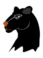 panther