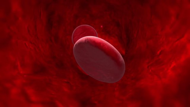 Blood cell (veins, arteries, capillaries). Available in high-resolution and several sizes to fit the needs of your project. 3D animation