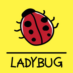 ladybug hand-drawn style.