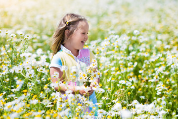 Fototapeta na wymiar Little girl picking flowers in daisy field