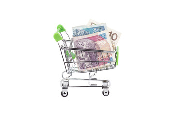 Polish zloty in the shopping pushcart, isolated
