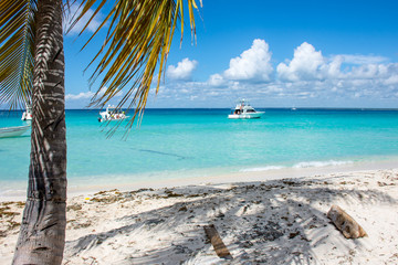 Speed Boats in the clear ocean on a background of palm trees and beautiful clouds.
