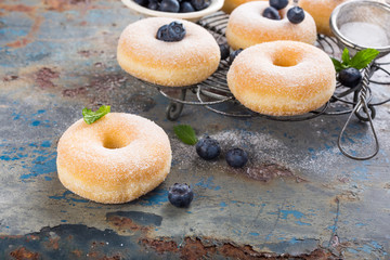 Homemade sugar donuts on cooling rack with fresh blueberries on Old rusty blue metal background. Selective focus.
