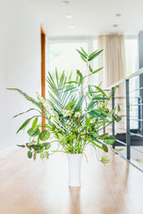 Green indoor plant arrangement in vase at light floor and window background. Urban living and styling with green plant